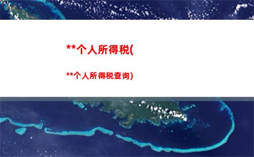 轻松查询个税到账，财政消息一手掌握