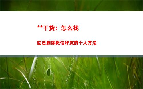 吐血干货：怎么找回已删除微信好友的十大方法(干货知识怎么找)