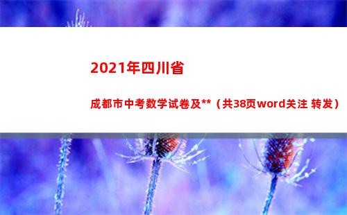 021年四川省成都市中考数学试卷及答案（共38页word关注+转发）(2021年四川省社会平均工资标准)"