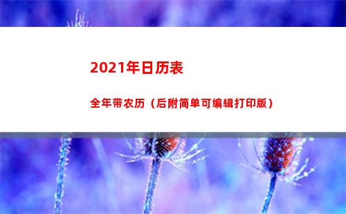 021年日历表全年带农历（后附简单可编辑打印版）(2021年日历表)"