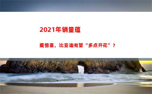 021年销量蕴藏惊喜，比亚迪有望“多点开花”？(2021年Aⅴ销量)"