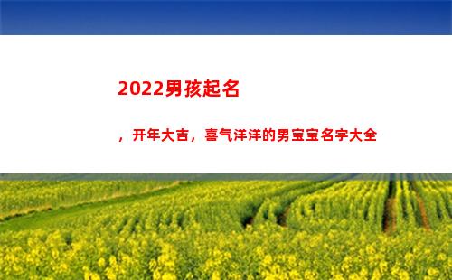 022男孩起名，开年大吉，喜气洋洋的男宝宝名字大全(2022男孩起名大全免费取名宝典)"