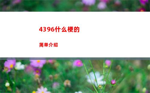 396什么梗的简单介绍"