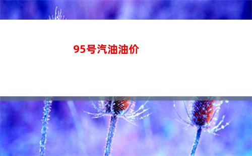 今日兰州95#油价最新消息（2022年03月25日）