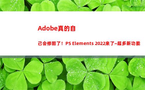Adobe真的自己会修图了！PS Elements 2022来了~超多新功能率先体验