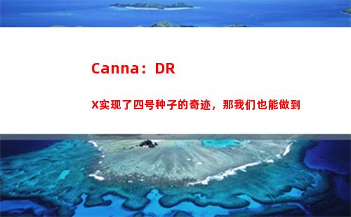 Canna：DRX实现了四号种子的奇迹，那我们也能做到