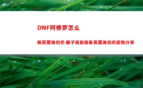 白夜极光哪个公司的呢