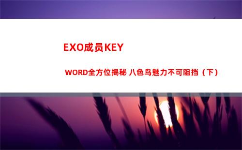 EXO成员KEY WORD全方位揭秘 八色鸟魅力不可阻挡（下）(exo成员资料简介9个人)