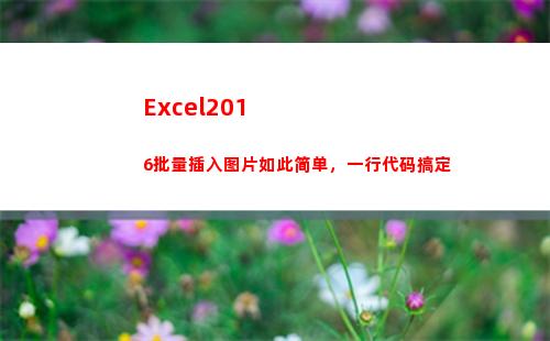 Excel2016批量插入图片如此简单，一行代码搞定(excel2010工作簿文件的默认扩展名)