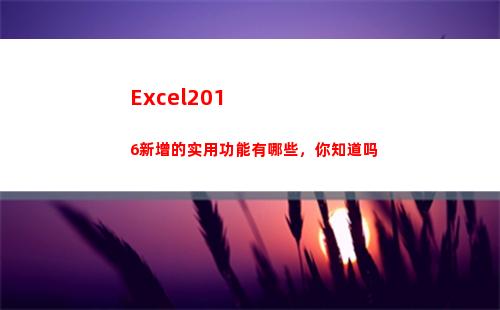 Excel2016新增的实用功能有哪些，你知道吗(excel2019)