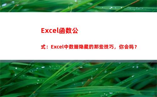 Excel函数公式：Excel中数据隐藏的那些技巧，你会吗？(excel函数公式求和)
