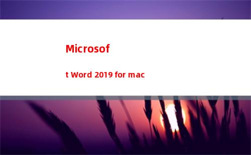 Microsoft Word 2019 for mac(microsoft teams)