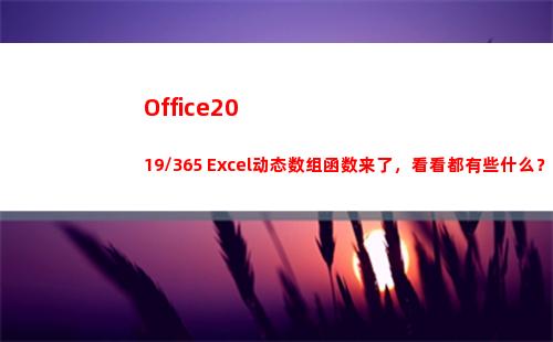 Office2019/365 Excel动态数组函数来了，看看都有些什么？(office2007密钥)