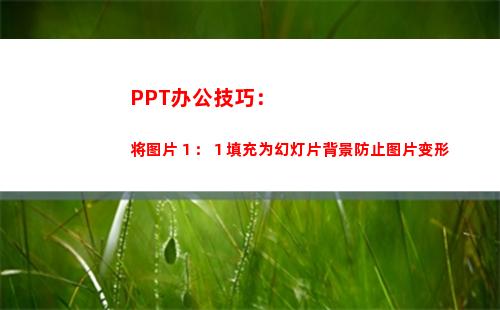 PPT办公技巧：将图片１：１填充为幻灯片背景防止图片变形(做ppt的方法和技巧)