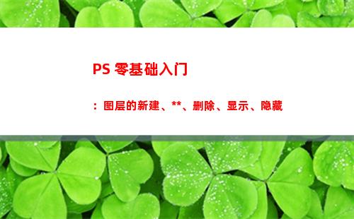 PS 零基础入门：图层的新建、复制、删除、显示、隐藏
