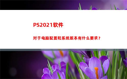 PS2021软件对于电脑配置和系统版本有什么要求？(ps2021软件78元)