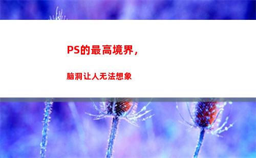 PS的最高境界，脑洞让人无法想象(友情的最高境界的说说)