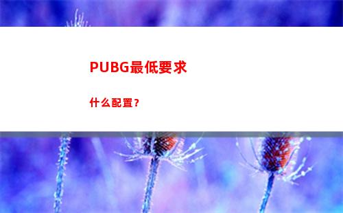 PUBG最低要求什么配置？(pubg最低人数自定义)