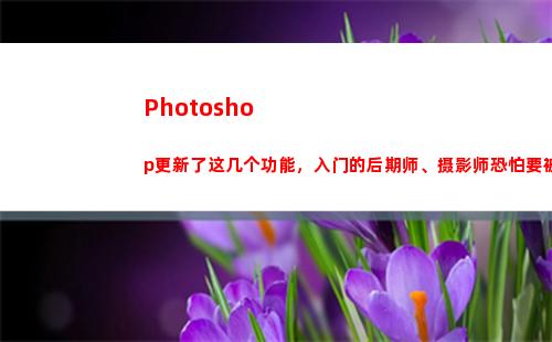 Photoshop更新了这几个功能，入门的后期师、摄影师恐怕要被淘汰(photoshop下载)