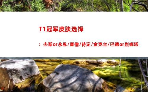 T1冠军皮肤选择：杰斯or永恩/盲僧/待定/金克丝/巴德or烈娜塔