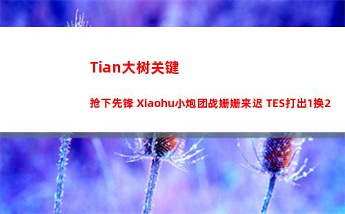 Tian大树关键抢下先锋 Xiaohu小炮团战姗姗来迟 TES打出1换2