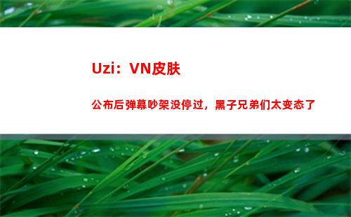 Uzi：VN皮肤公布后弹幕吵架没停过，黑子兄弟们太变态了