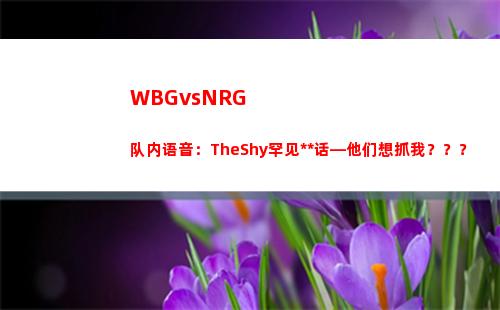 WBGvsNRG队内语音：TheShy罕见骚话—他们想抓我？？？