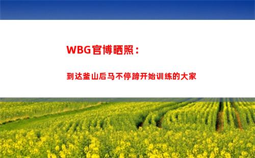 WBG官博晒照：到达釜山后马不停蹄开始训练的大家