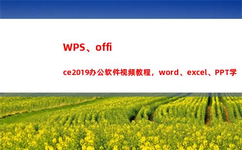 WPS、office2019办公软件视频教程，word、excel、PPT学习课程(wpsoffice下载安装)