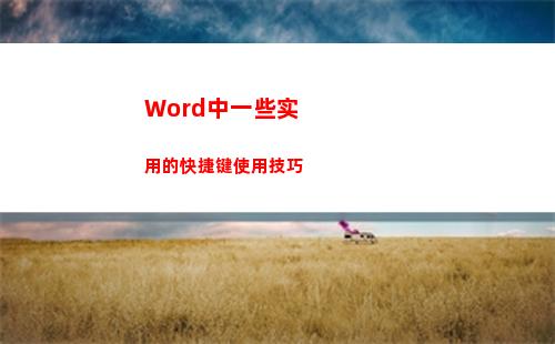 Word中一些实用的快捷键使用技巧(怎么让word小一些)