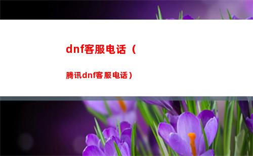 白夜极光埃尔西技能介绍一览