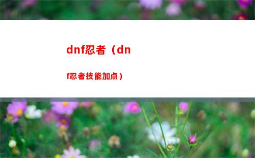 dnf忍者（dnf忍者技能加点）