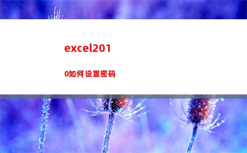 excel2010如何设置密码(excel2010主界面窗口中编辑栏上的fx按钮用来向单元格)