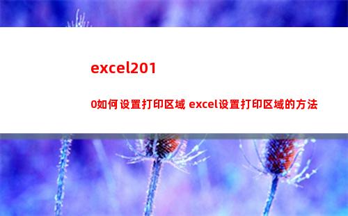 excel2010如何设置打印区域 excel设置打印区域的方法(excel2010主界面窗口中编辑栏上的fx按钮用来向单元格)