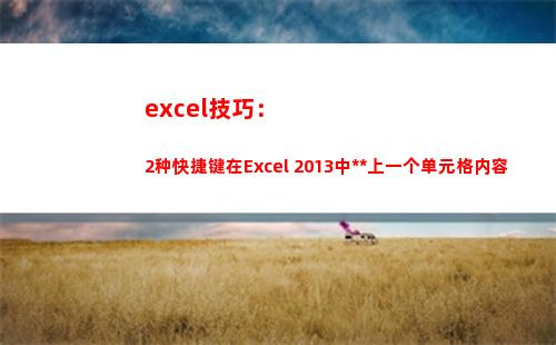 excel技巧：2种快捷键在Excel 2013中复制上一个单元格内容(excel速成教程)