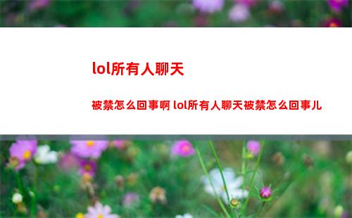 lol所有人聊天被禁怎么回事啊 lol所有人聊天被禁怎么回事儿