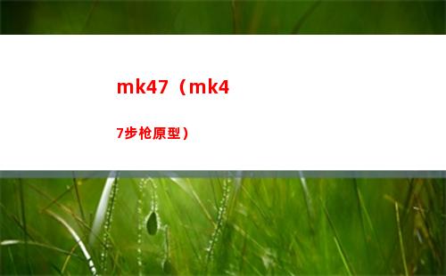 mk47（mk47步枪原型）
