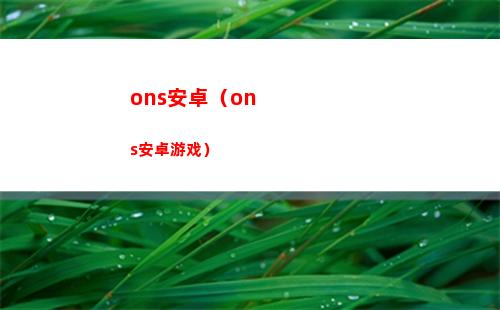 白夜极光瑞吉娜怎么样呢