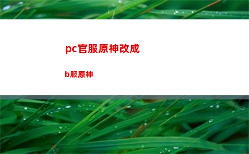 原神神樱雷神瞳(原神雷神和冰神哪个厉害)