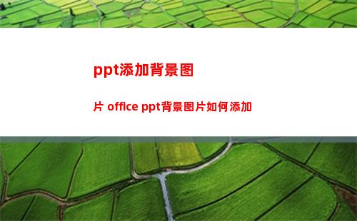 ppt添加背景图片 office ppt背景图片如何添加(ppt添加背景图片怎么添加)
