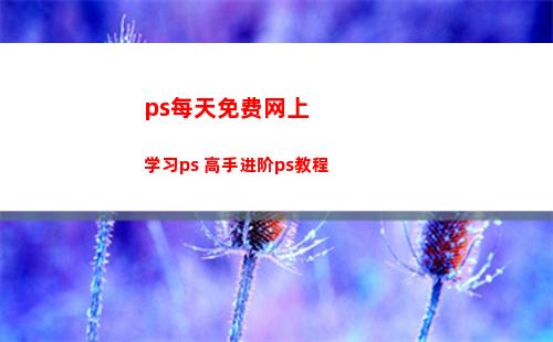 ps每天免费网上学习ps 高手进阶ps教程(新手网上ps免费教程)