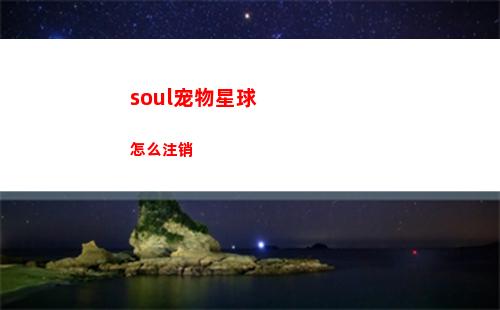 soul宠物星球怎么注销