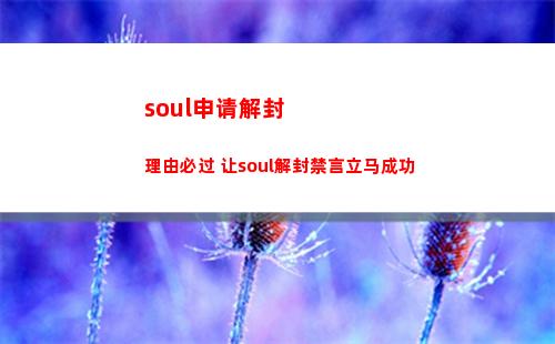 soul申请解封理由必过 让soul解封禁言立马成功
