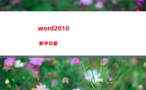 word2010 断字功能(word2010是一种什么软件)