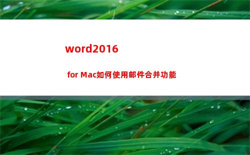 word2016 for Mac如何使用邮件合并功能(word2016页面颜色怎么设置)
