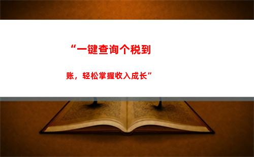 “一站式税务申报，天津个税大厅欢迎您！”
