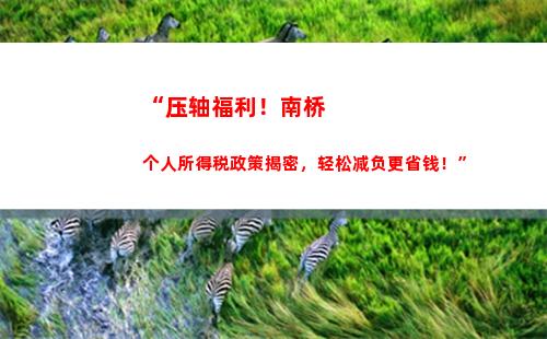 “掌握个税减免技巧，提高收入收益”