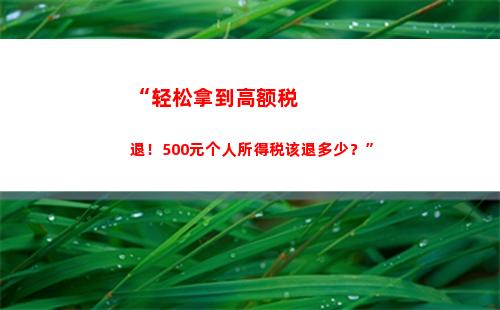 “轻松申报个税，享受更多优惠，让你的钱包更丰盈！”