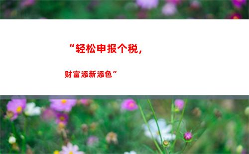 个人所得税768(个人所得税760)