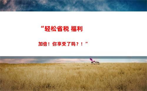 “轻松申报个税，享受最优惠减免！“